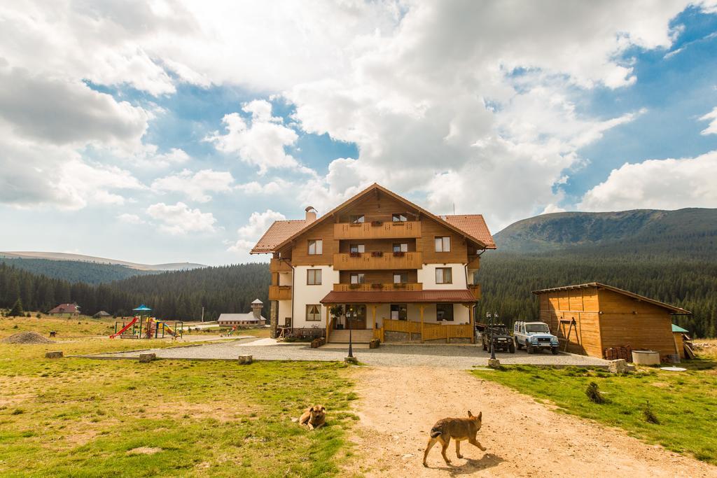Pensiunea Sureanu Tău Bistra Exterior foto